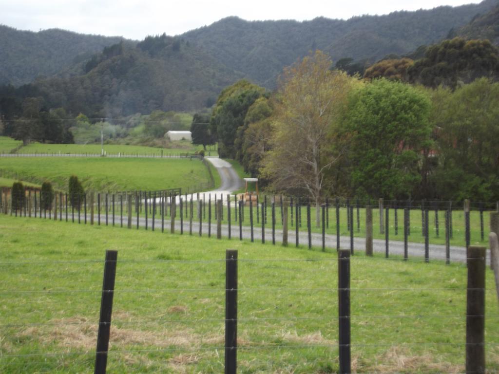 The Little Farm Coromandel Hotell Rum bild