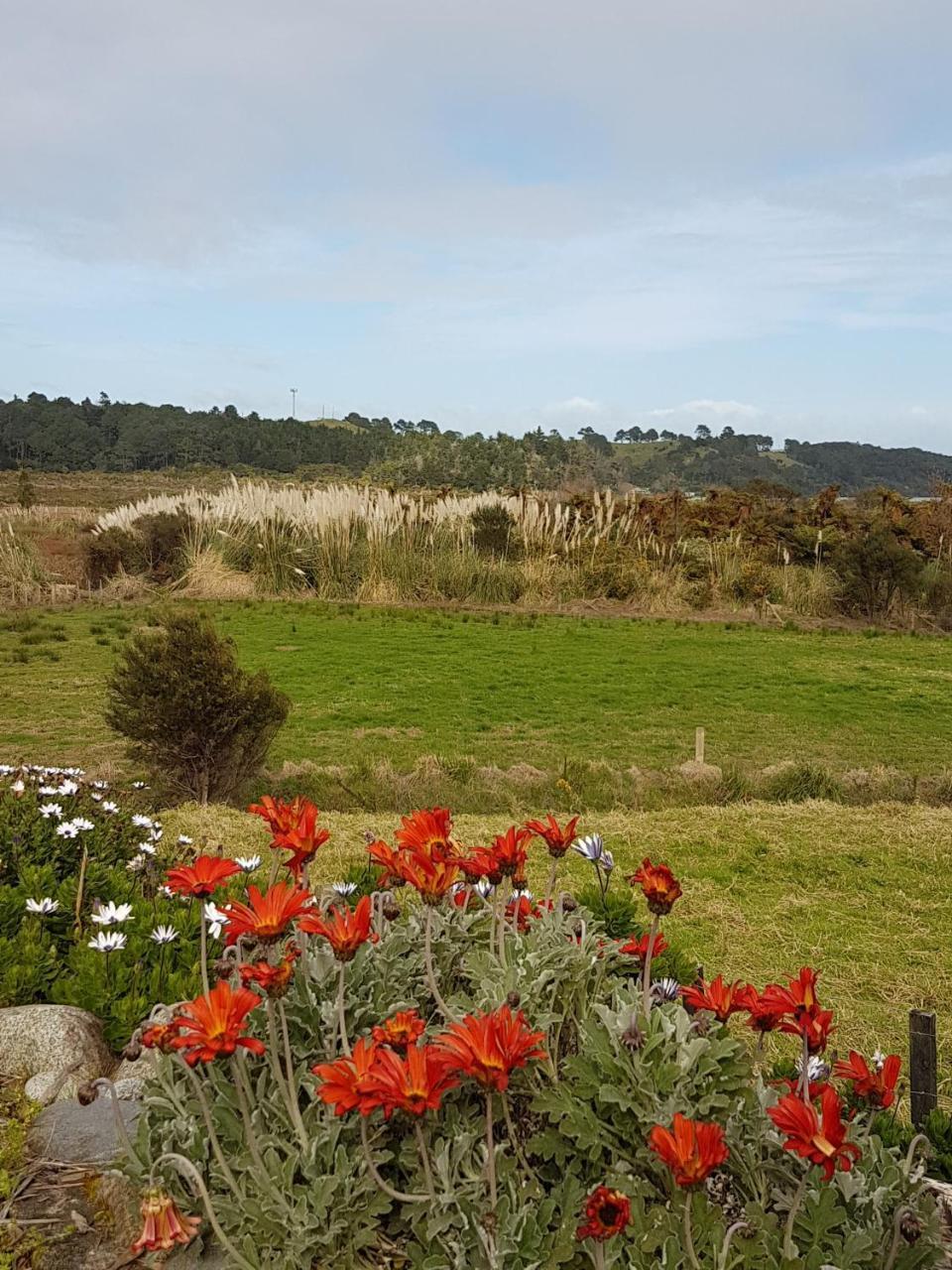 The Little Farm Coromandel Hotell Exteriör bild
