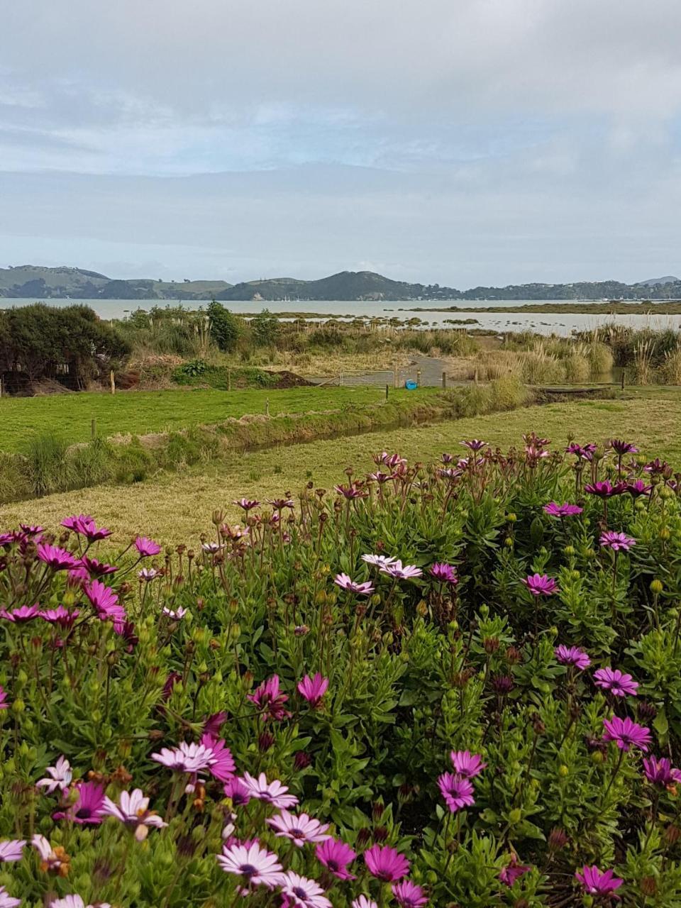The Little Farm Coromandel Hotell Exteriör bild