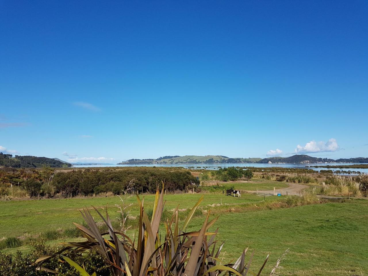 The Little Farm Coromandel Hotell Exteriör bild